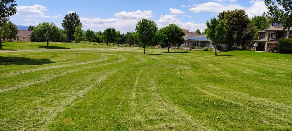 Expert garden landscaping for year-round maintenance across Delta, CO - AJ Rule Construction Masonry & More