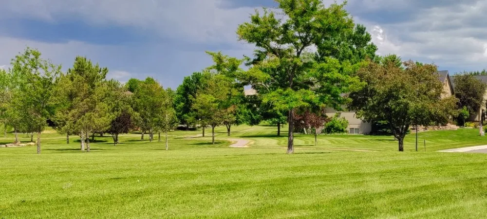 Trusted lawn care service in Delta, CO - AJ Rule Construction Masonry & More