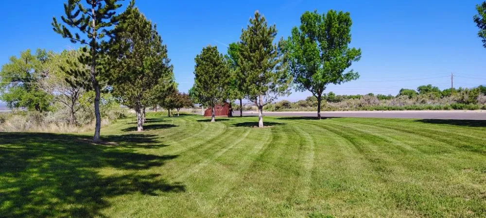 Local yard cleanup service in Delta, CO - AJ Rule Construction Masonry & More