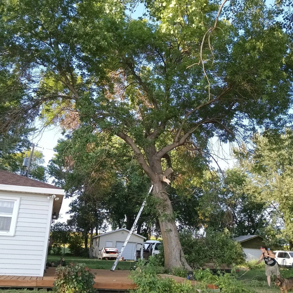 Professional residential landscaping experts serving Madison Lake, MN - AJ Service