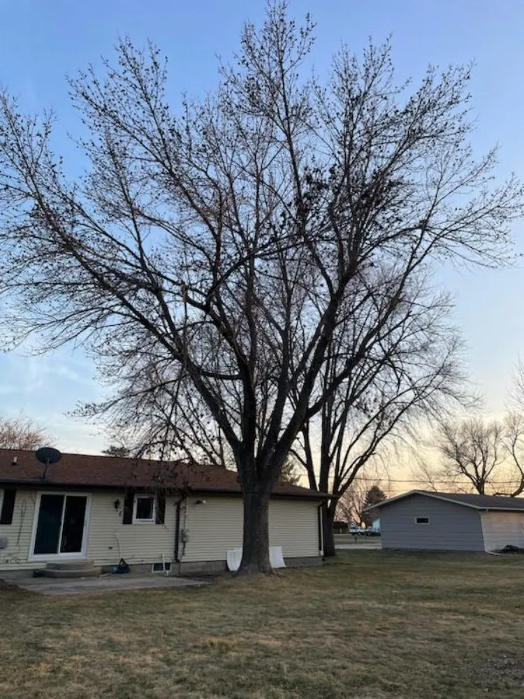 Professional outdoor landscaping experts serving Madison Lake, MN - AJ Service