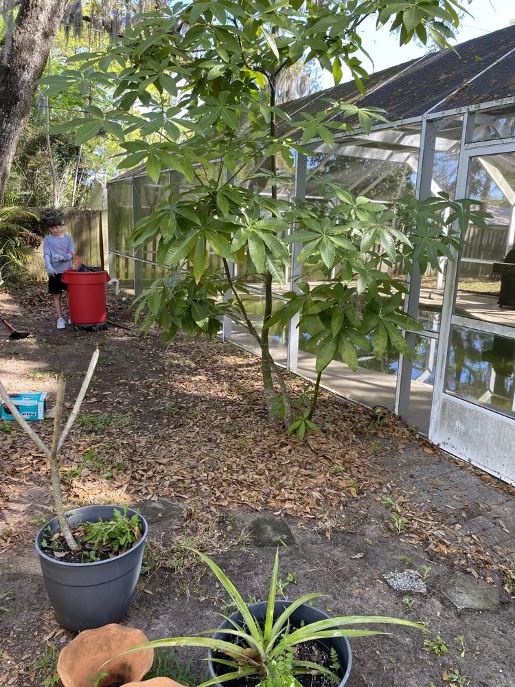 Expert yard maintenance for residential properties across Ormond Beach, FL - A&J Services