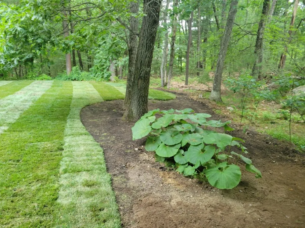 Custom yard cleanup service in Marlborough, MA - A&J Stoneworks and Landscaping