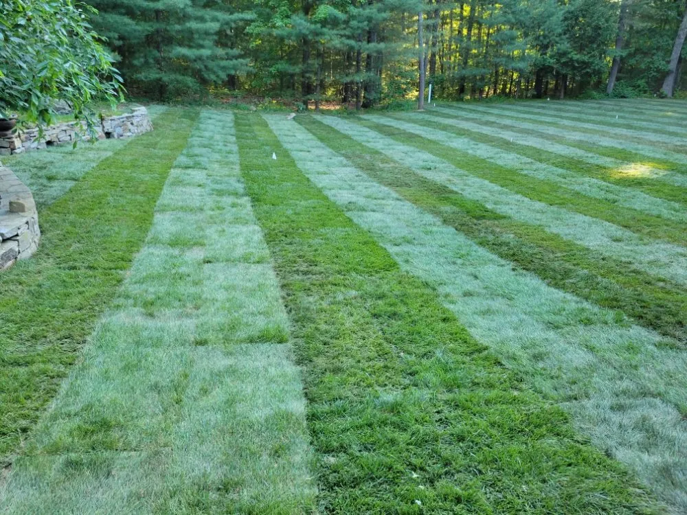 Trusted landscaping services in Marlborough, MA by A&J Stoneworks and Landscaping