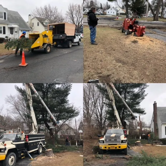 Trusted landscape installation in Albany, NY by A&J Tree Service