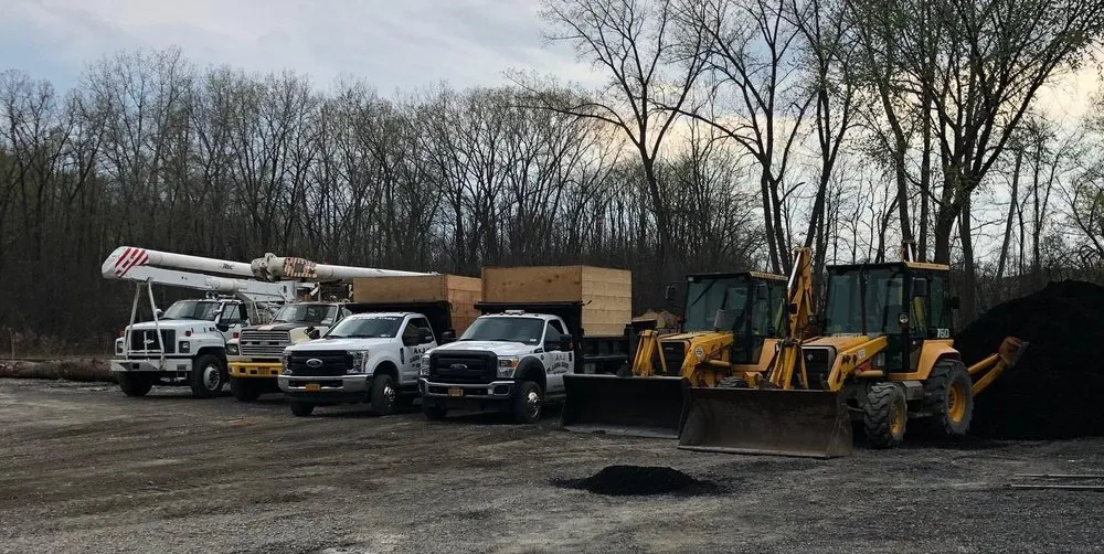 Affordable lawn mowing service in Albany, NY - A&J Tree Service