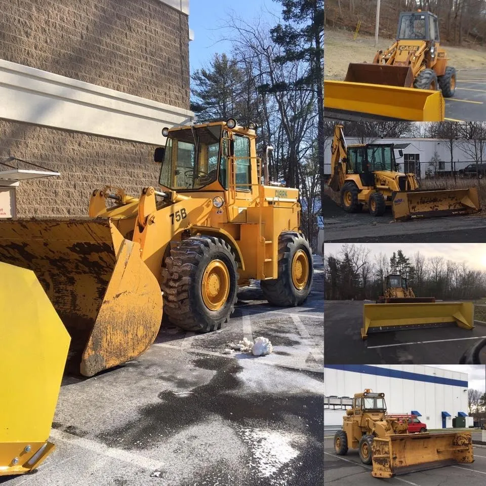 Professional yard cleanup service in Albany, NY - A&J Tree Service