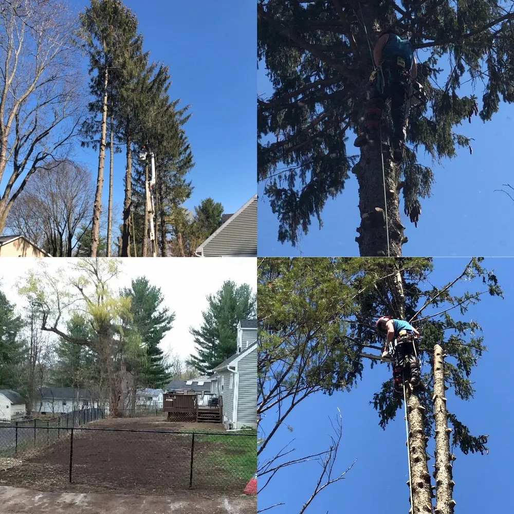 Expert garden landscaping for residential properties across Albany, NY - A&J Tree Service