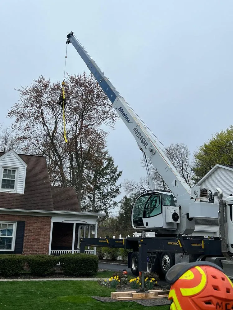 Trusted yard cleanup service in Albany, NY - A&J Tree Service