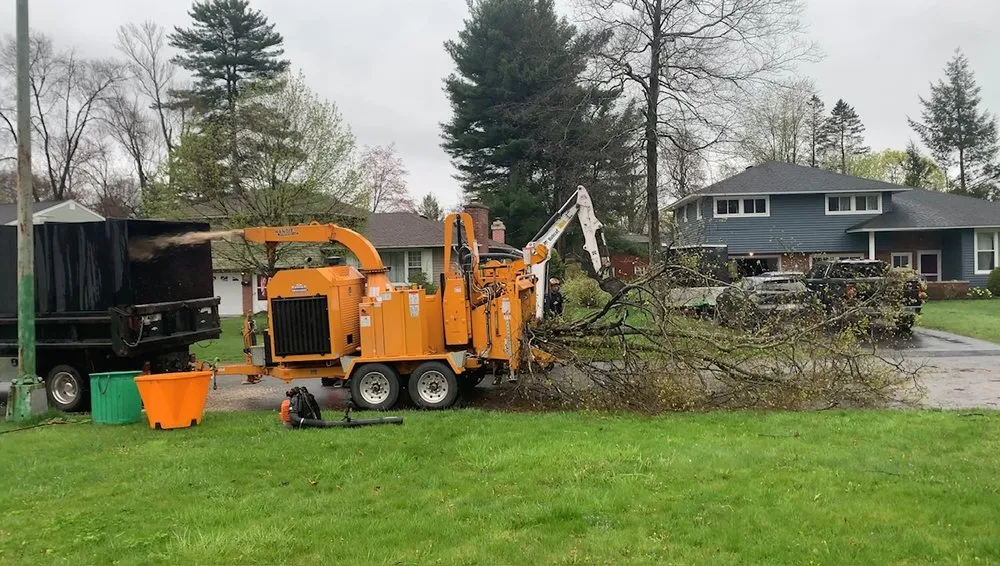 Reliable lawn care service with custom design in Albany, NY by A&J Tree Service