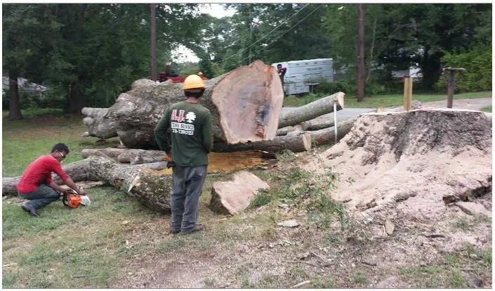 Professional landscape design with custom design in Lithia Springs, GA by AJ Tree Service