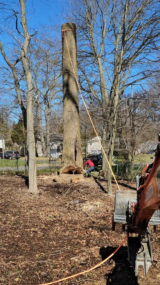 Affordable residential landscaping for year-round maintenance across Ossining, NY - AJ Tree Service
