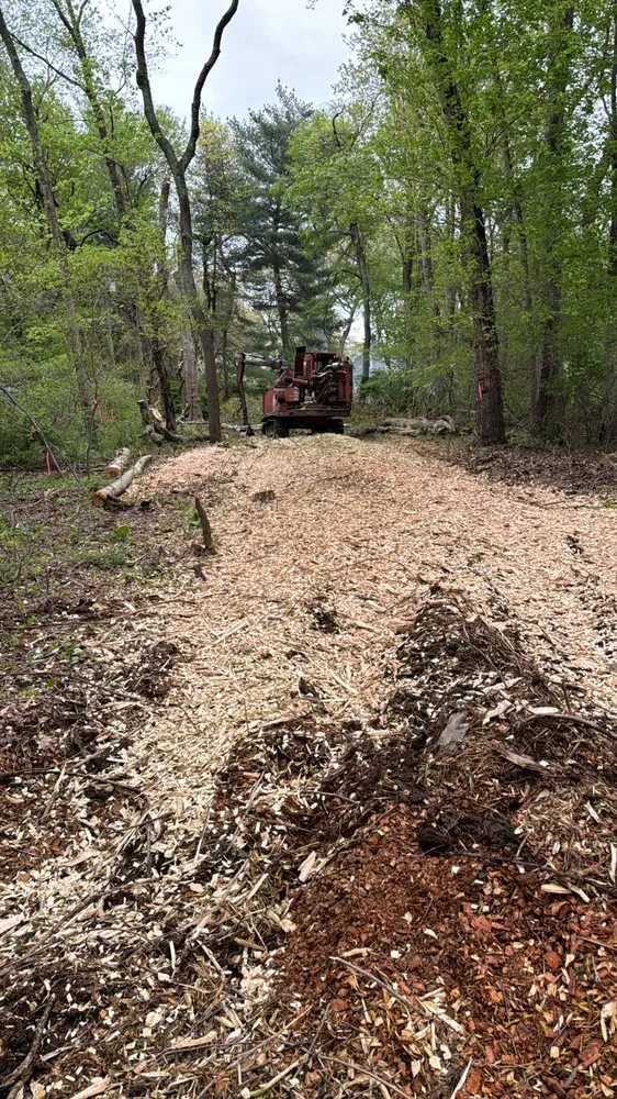 Reliable outdoor landscaping in Ossining, NY - AJ Tree Service