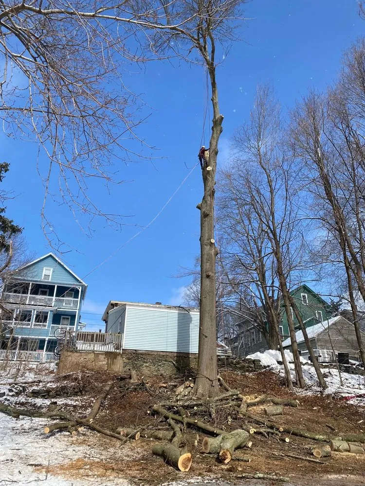 Professional landscape design for outdoor upgrades across Ossining, NY - AJ Tree Service