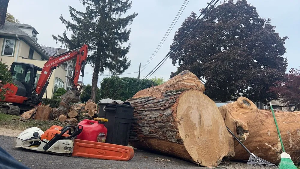 Reliable residential landscaping experts serving Ossining, NY - AJ Tree Service