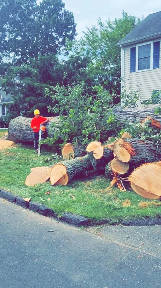 Reliable residential landscaping experts serving Ossining, NY - AJ Tree Service