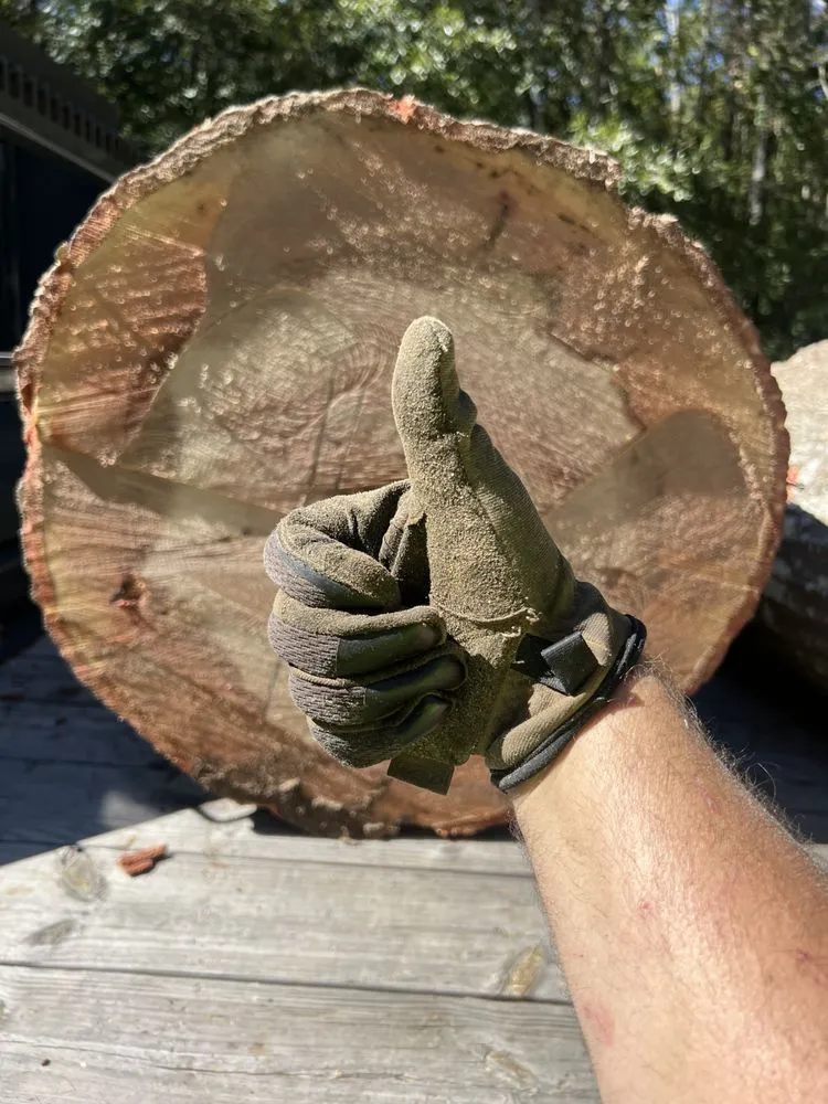 Reliable landscaping services for year-round maintenance across Rentz, GA - A&J Tree Service
