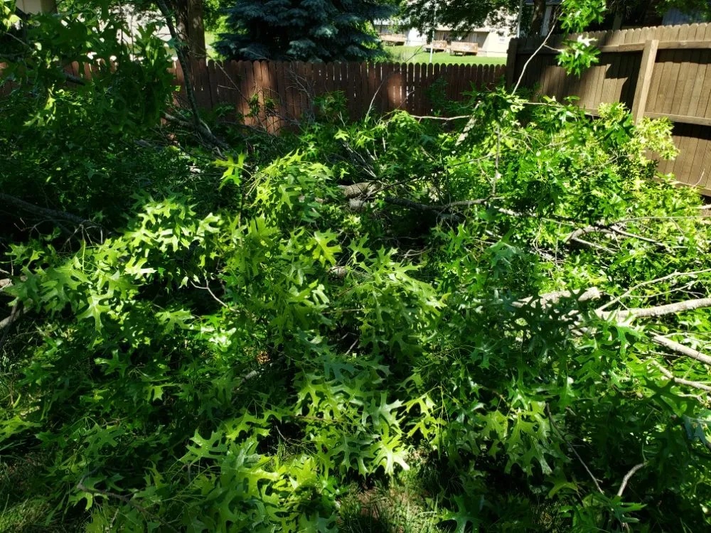 Custom outdoor landscaping for residential properties across Olathe, KS - A&J Tree Services Kc