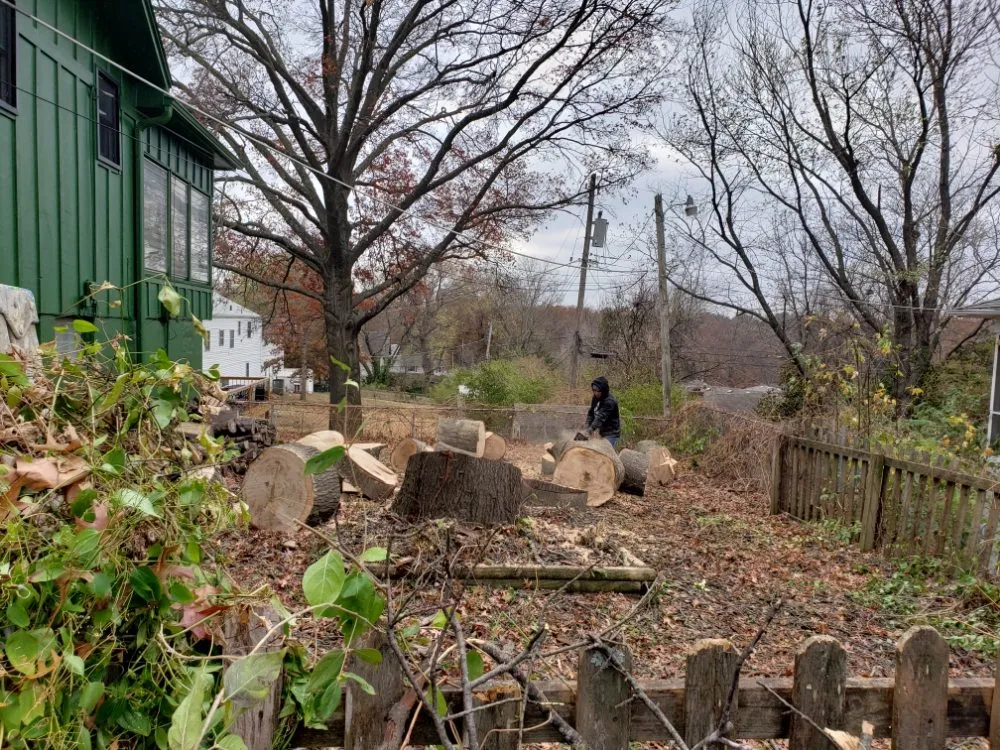 Expert landscaping services in Olathe, KS - A&J Tree Services Kc