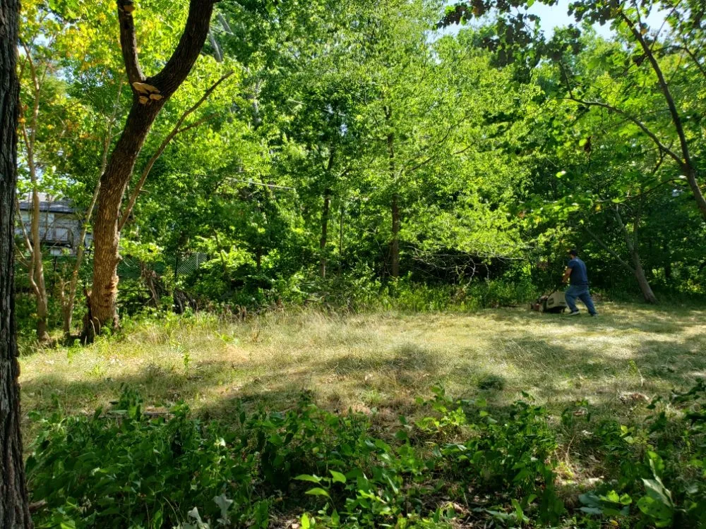 Affordable garden landscaping for year-round maintenance across Olathe, KS - A&J Tree Services Kc