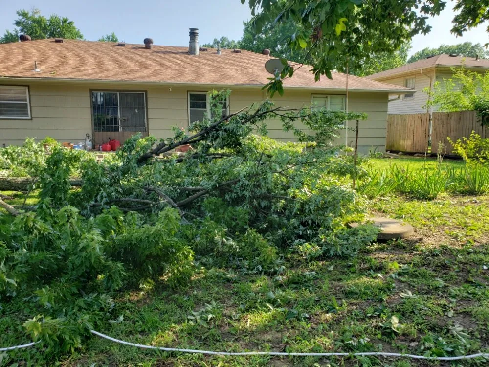 Expert landscape installation in Olathe, KS - A&J Tree Services Kc