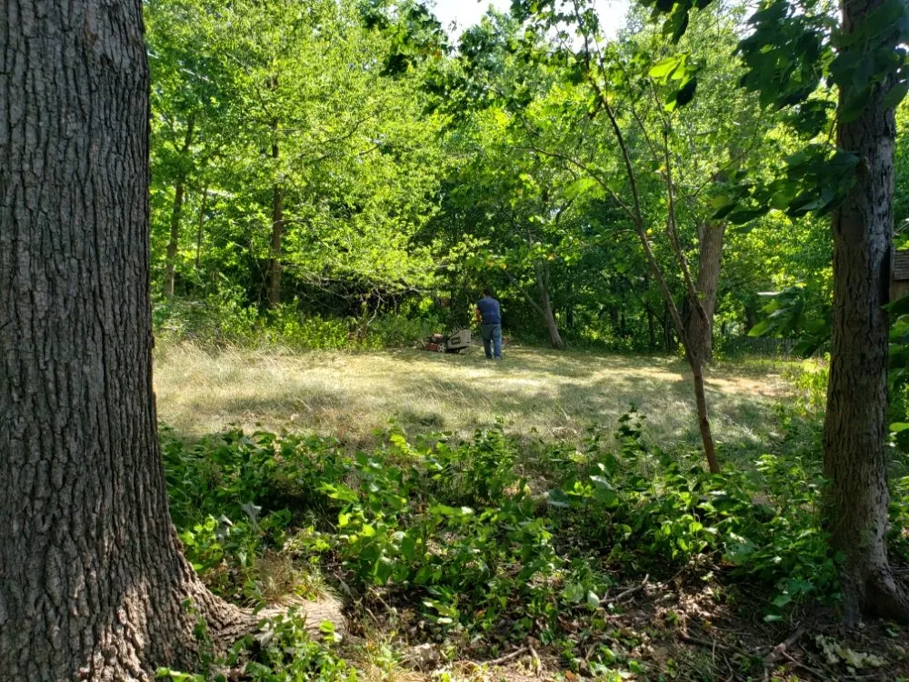 Expert garden landscaping in Olathe, KS - A&J Tree Services Kc