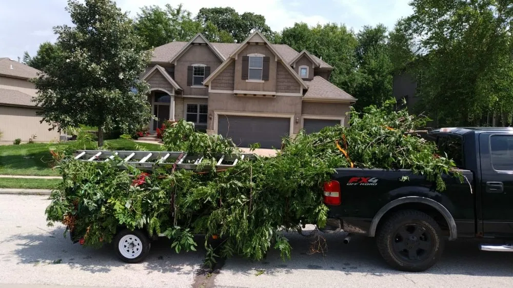 Reliable yard cleanup service in Olathe, KS by A&J Tree Services Kc