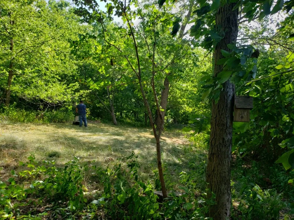 Trusted garden landscaping in Olathe, KS - A&J Tree Services Kc