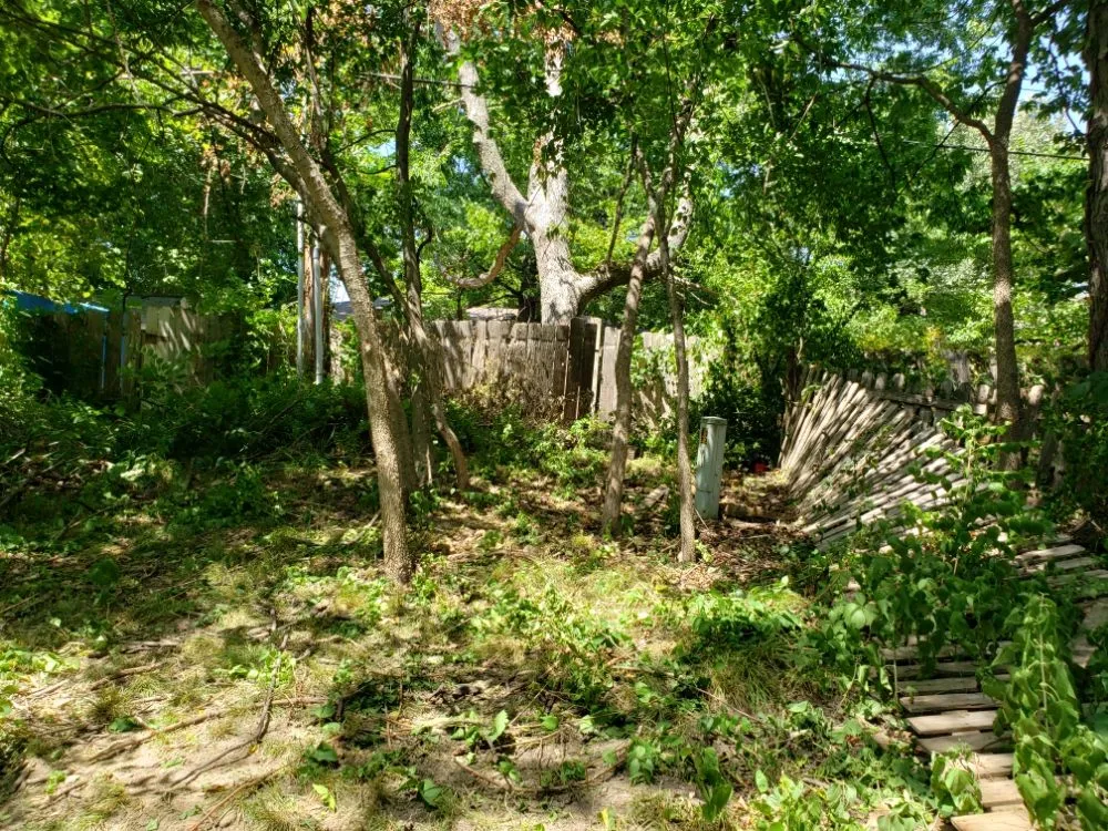 Local landscape design for outdoor upgrades in Olathe, KS by A&J Tree Services Kc