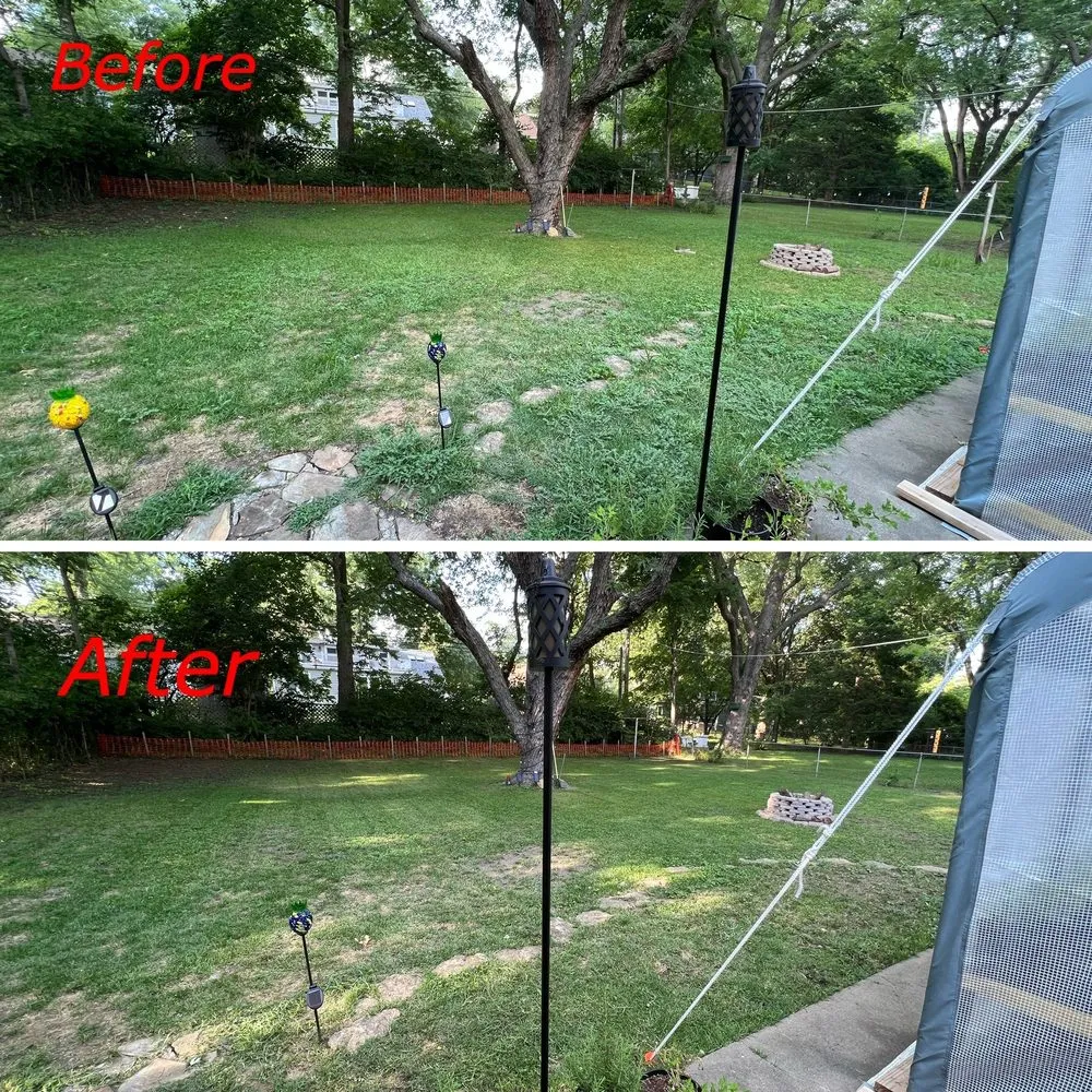 Top-rated lawn mowing service in Olathe, KS - A&J Tree Services Kc
