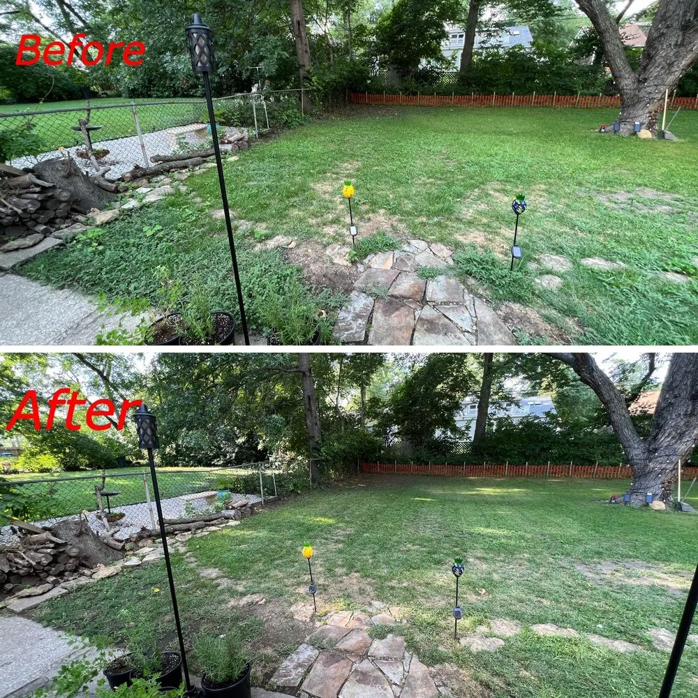 Top-rated landscape installation in Olathe, KS - A&J Tree Services Kc