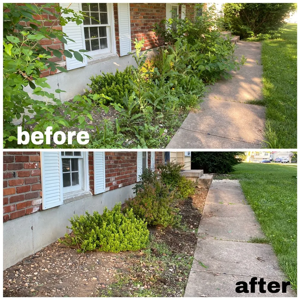 Reliable yard maintenance in Olathe, KS - A&J Tree Services Kc