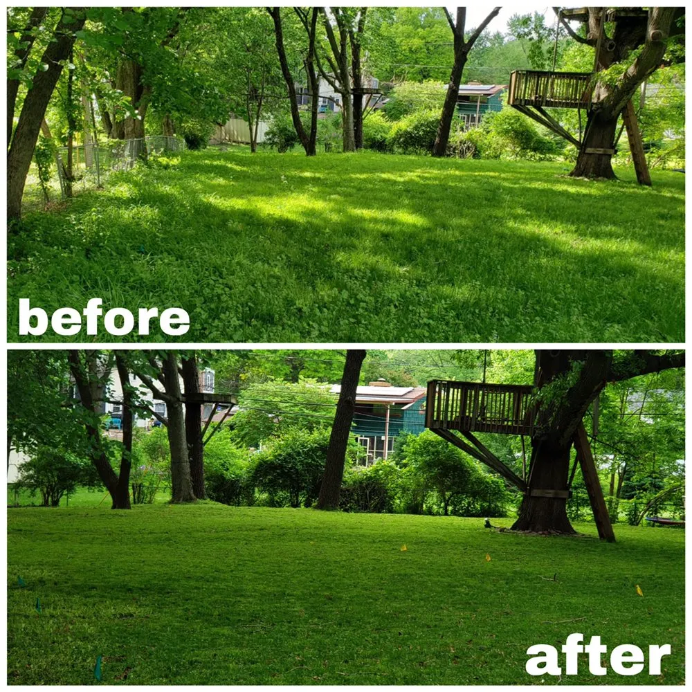 Trusted outdoor landscaping with custom design across Olathe, KS - A&J Tree Services Kc