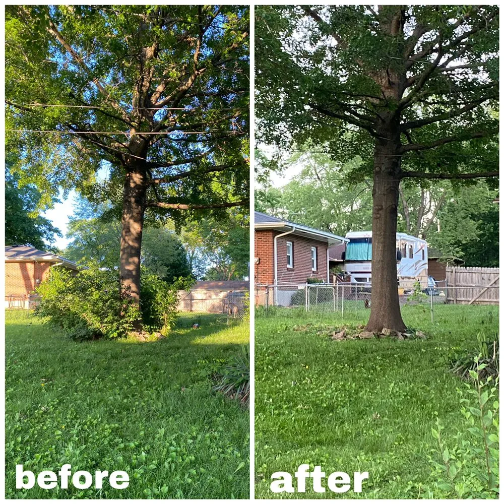 Affordable landscape design in Olathe, KS - A&J Tree Services Kc