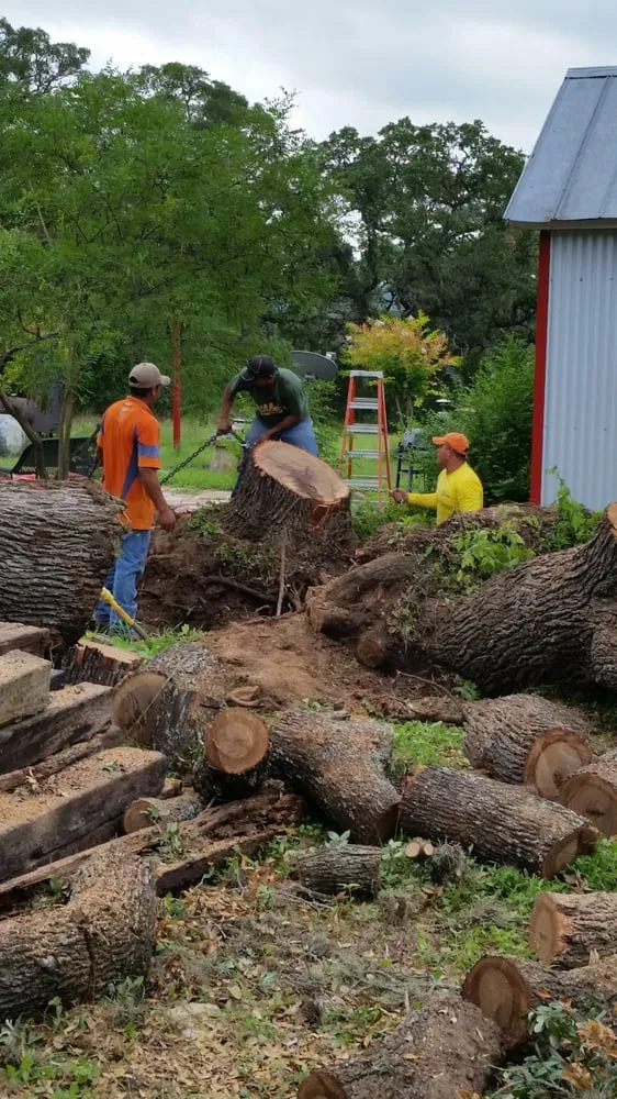 Affordable lawn care service for year-round maintenance across Kyle, TX - AJ Tree Services