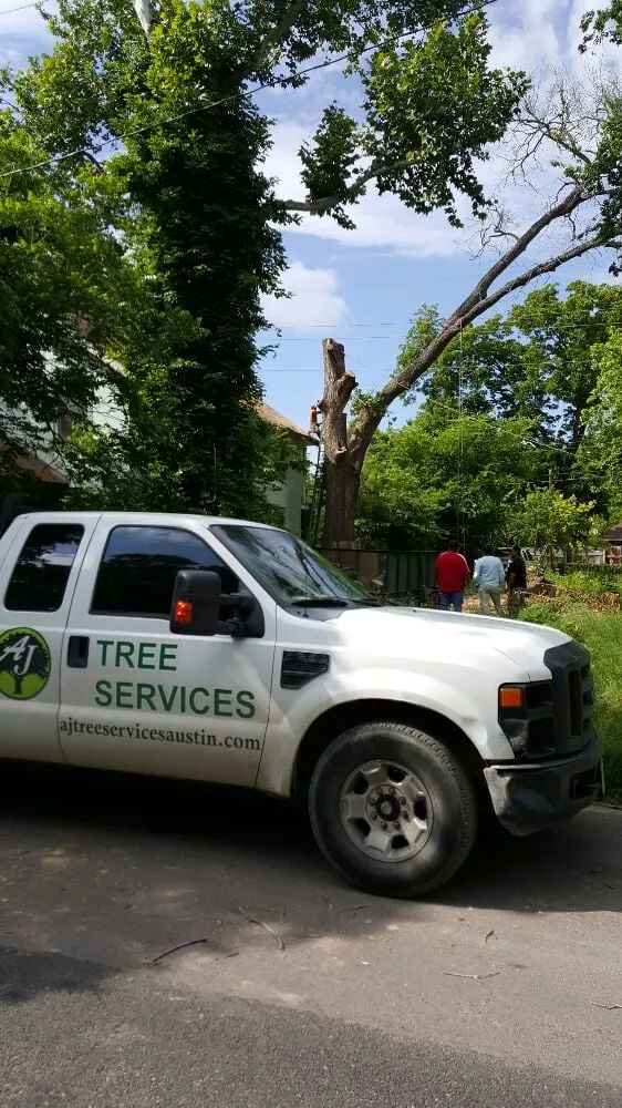 Trusted yard cleanup service in Kyle, TX - AJ Tree Services