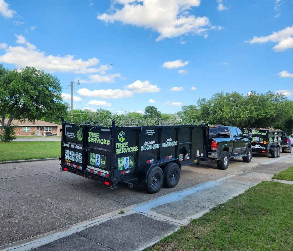 Top-rated yard cleanup service with custom design across Kyle, TX - AJ Tree Services