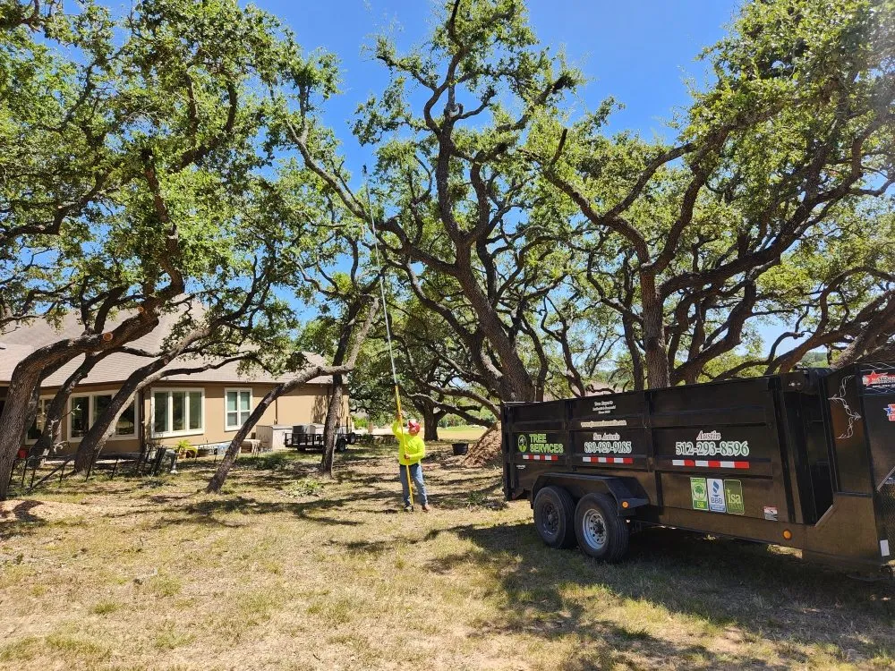 Custom residential landscaping in Kyle, TX - AJ Tree Services