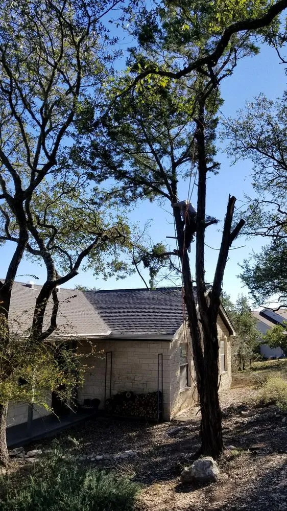 Reliable outdoor landscaping in Kyle, TX - AJ Tree Services