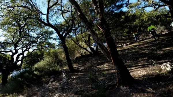 AJ Tree Services Logo