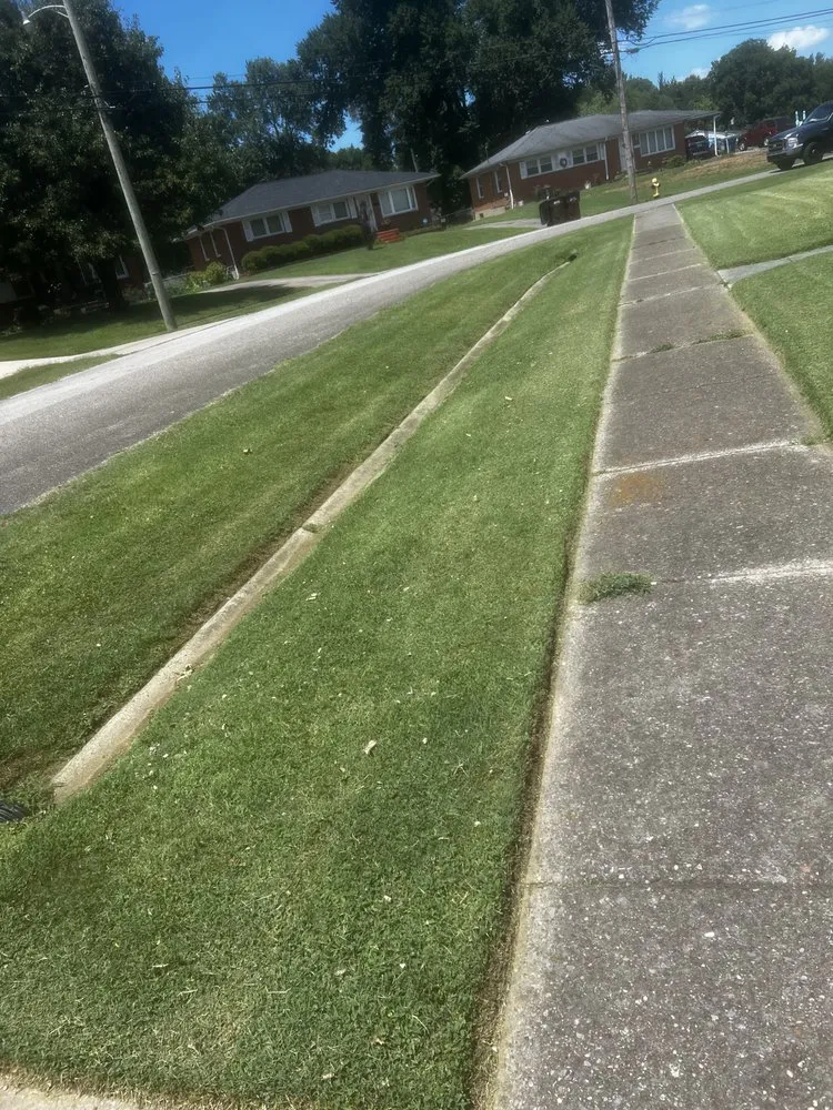 Affordable yard cleanup service with custom design in Louisville, KY by AJ Unlimited