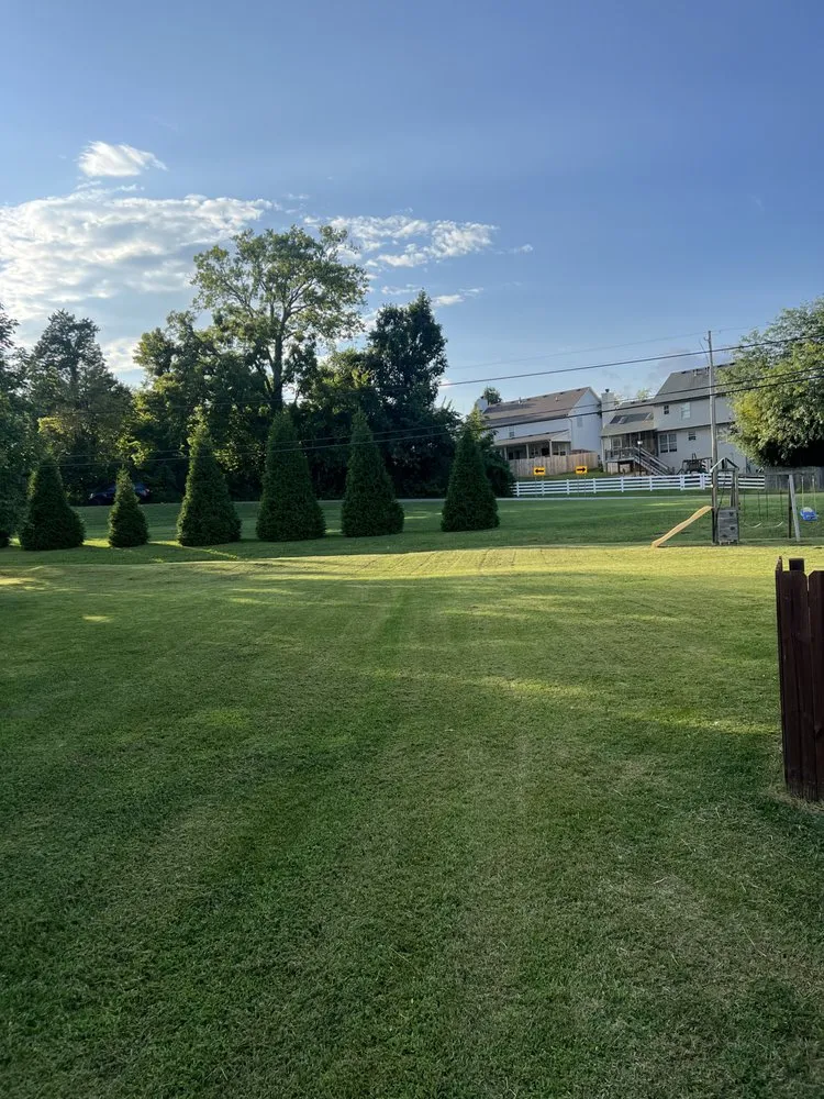 Trusted landscaping services in Louisville, KY by AJ Unlimited