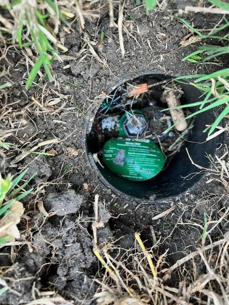 Trusted landscaping services in Pearland, TX by AJ Unlimited