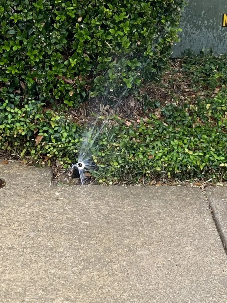 Professional residential landscaping in Pearland, TX by AJ Unlimited