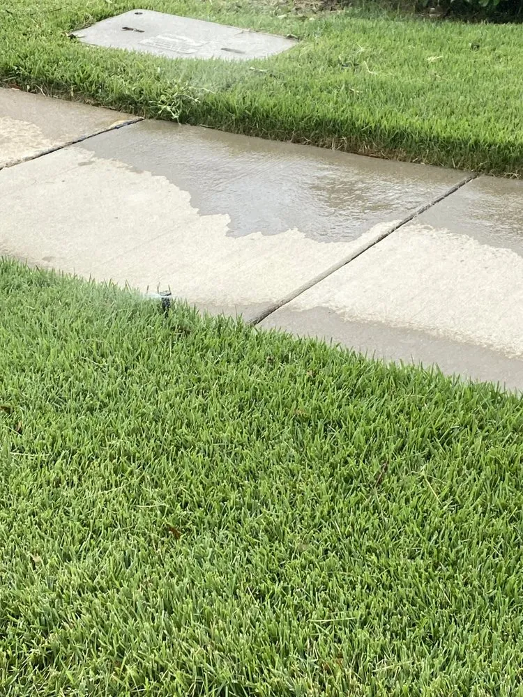 Reliable landscape installation in Pearland, TX by AJ Unlimited