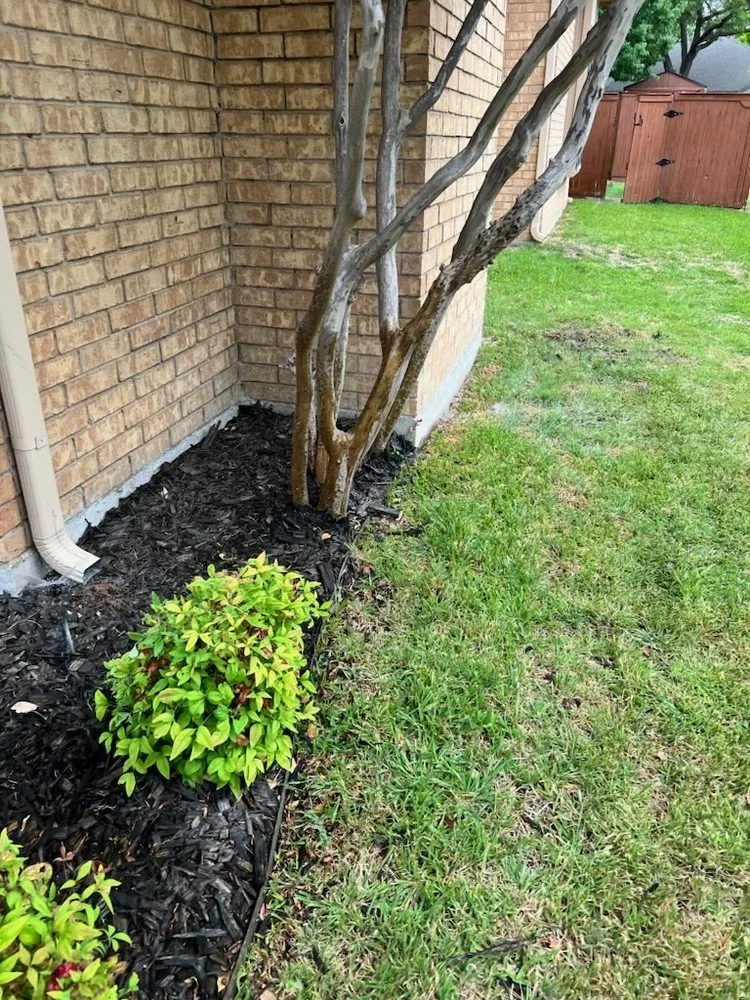 Affordable yard cleanup service for beautiful yards in Pearland, TX by AJ Unlimited