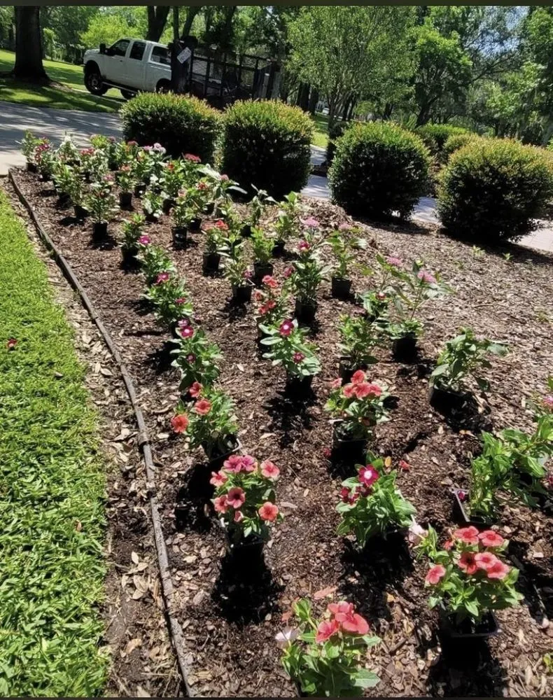 Custom landscape design for year-round maintenance in Pearland, TX by AJ Unlimited