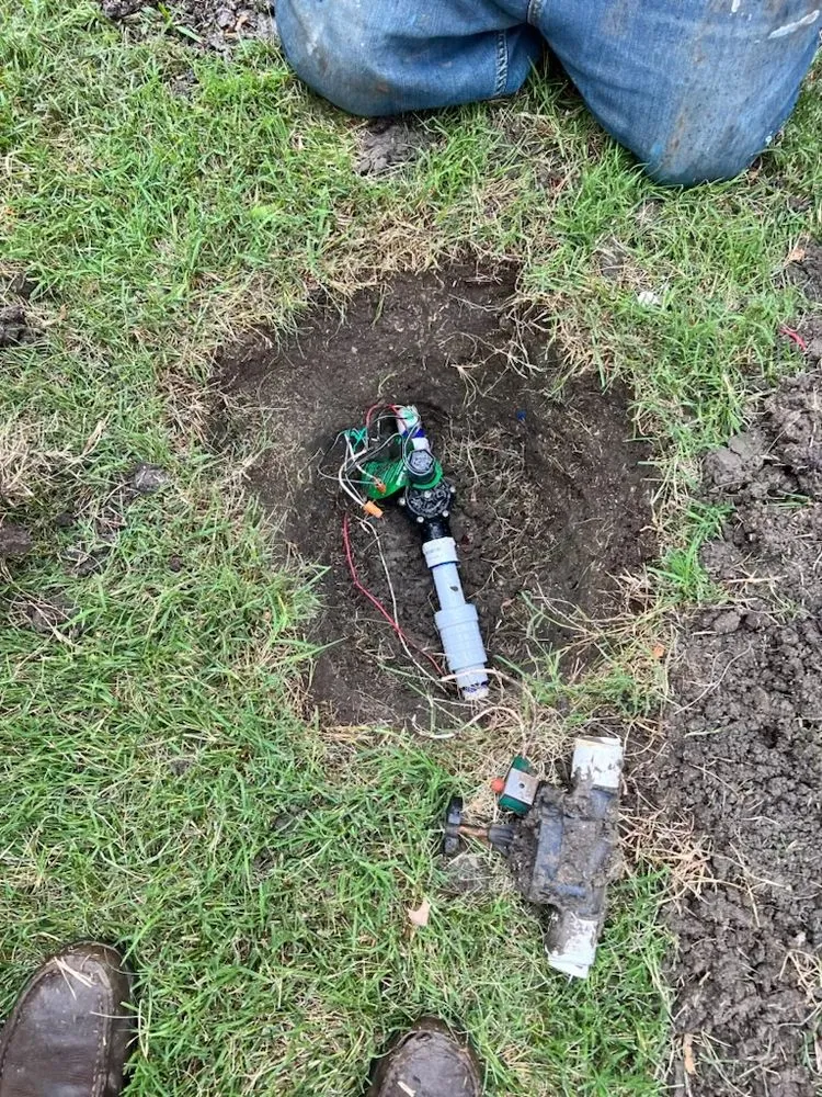 Custom yard cleanup service for beautiful yards across Pearland, TX - AJ Unlimited