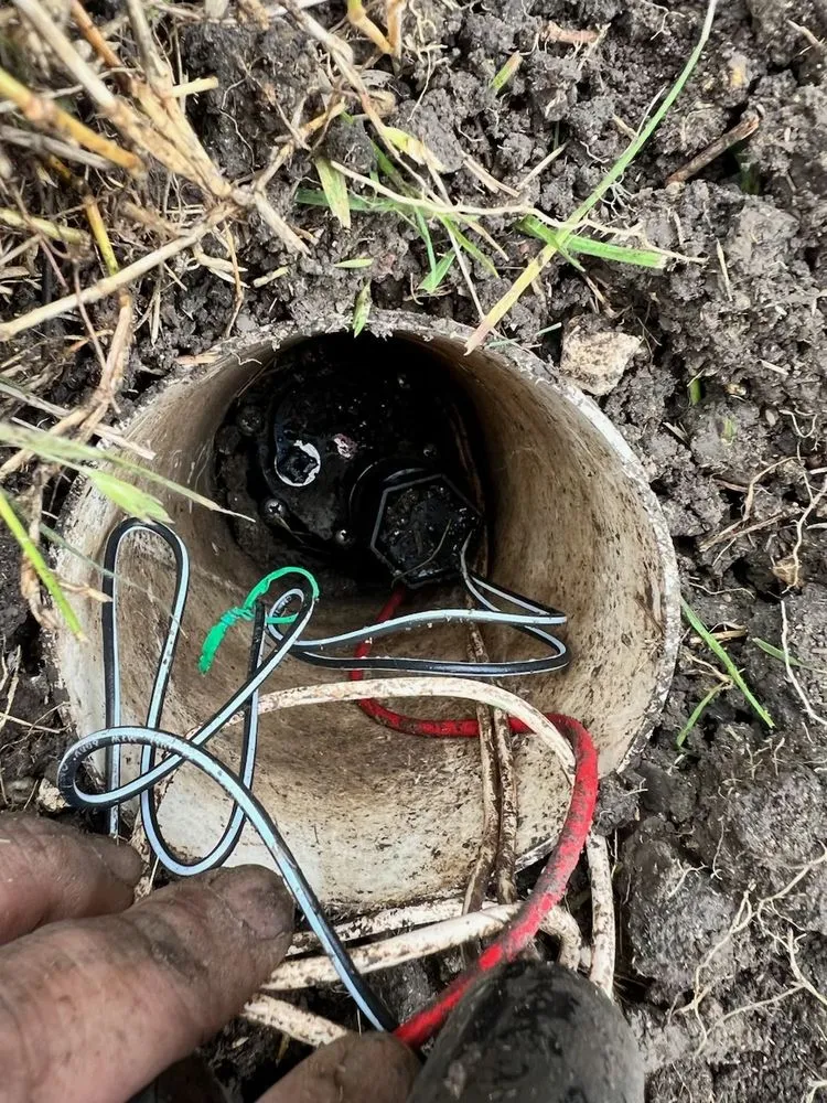 Reliable landscaping services in Pearland, TX by AJ Unlimited