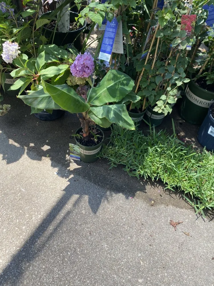 Professional lawn mowing service experts serving Pearland, TX - AJ Unlimited